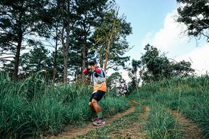 BIB: 
                            <button type="button" onclick="openModal(26038413)" class="btn btn-primary btn-sm float-right btn-popup" data-toggle="modal" data-target=".modal-high-quality">
                        <i class="fas fa-shopping-cart"></i> Add to Cart
                    </button>
                                            <button type="button" onclick="isThisMe(26038413, true)" class="btn btn-success btn-sm float-right btn-popup btn-isme hidden" data-toggle="tooltip" data-placement="bottom" title="นี่คือรูปของคุณใช่ไหม คลิกที่นี่เพื่อเอาเข้าอัลบั้ม">
                        <i class="fas fa-plus"></i> Add to album
                    </button>
                    <button type="button" onclick="isThisMe(26038413, false)" class="btn btn-warning btn-sm float-right btn-popup btn-isnotme hidden">
                        <i class="fas fa-ban"></i> Remove from album
                    </button>